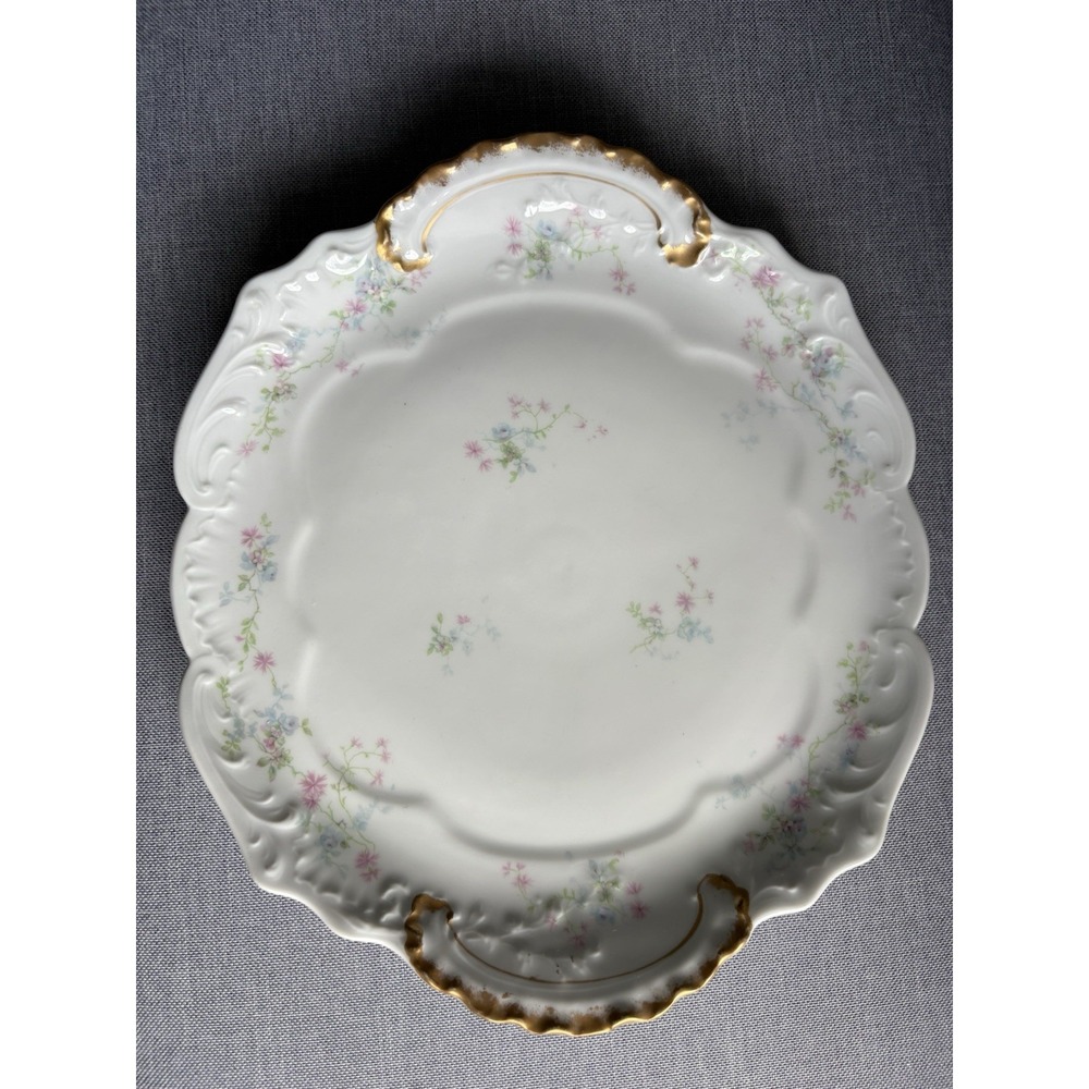 11" Theodore Haviland Limoges SCHLEIGER Blue Pink‎ Floral Round Platter Cake